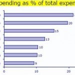 indian’s average spending as percentage of total expenditure