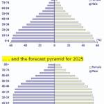 Indias-population-pyramid-distribution